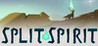 Split Spirit Image