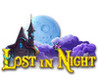 Lost in Night Image