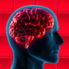 RedAllOver Image