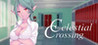 Celestial Crossing