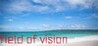 field of vision Image