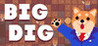 Big Dig Image