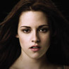 The Twilight Saga - Memory Quest Image