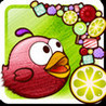 Fat Bird Image