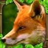 Fox Simulator Image