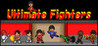 Ultimate Fighters Image