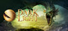 Dark and Light Image