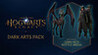 Hogwarts Legacy: Dark Arts Pack Image