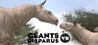 Geants disparus VR Image