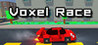 Voxel Race Image