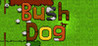 Bush Dog Image