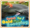 Catch 'Em! Goldfish Scooping Image
