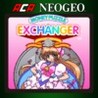ACA NeoGeo: Money Puzzle Exchanger
