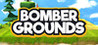 Bombergrounds: Battle Royale Image