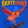 SkateBIRD Image