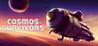 Cosmos Survivors Image