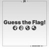 Guess the Flag! Image