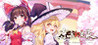 Touhou Hakanai Cards Image