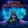 Bone Marrow Image