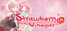 Strawberry Vinegar Image