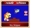 Arcade Archives: Sky Skipper Image