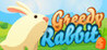 Greedy Rabbit