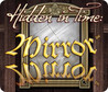 Hidden in Time: Mirror Mirror Image