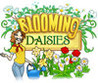Blooming Daisies Image