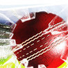 Cricket T20 Super Sixers (2013) Image