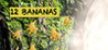 12 bananas Image