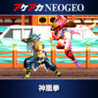 ACA NeoGeo: Ragnagard Image