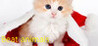 Beat animals Image
