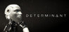 Determinant Image