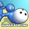 Human Bowling Image