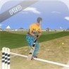 Beach Cricket Pro Image