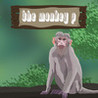 The Monkey P Image