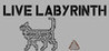 Live Labyrinth Image