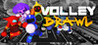 VolleyBrawl Image