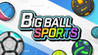 Big Ball Sports