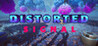 Distorted Signal Image