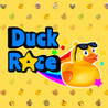 Duck Race Image