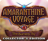 Amaranthine Voyage: The Burning Sky Image