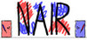 NAIR Image