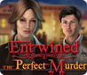 Entwined: The Perfect Murder Image