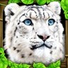 Snow Leopard Simulator Image