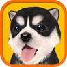 Dog Simulator HD Image