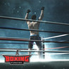 International Boxing Image