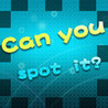 Can You Spot It Image