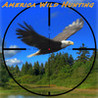 America Wild Hunting