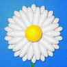 Daisy Chains Image